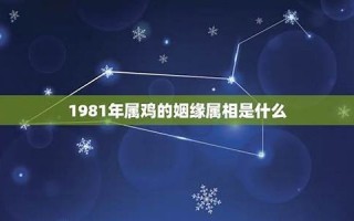 1981年属鸡的人2013年运程(81年属鸡2011年运势)