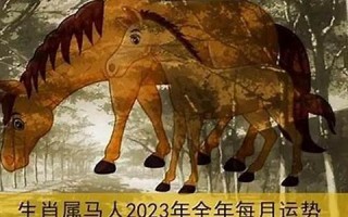 属马人2021年运势及运程每月运程(属马人20221年运势及运程每月运程)