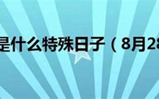 8月28日是什么日子(8月28日是什么日子为什么默哀)