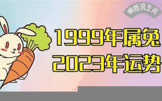 属兔2023年的运势及运程(1987年属兔2023年的运势及运程)