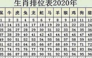 2024年属鼠人的全年运势(2024年属鼠人的全年运势1972出生)